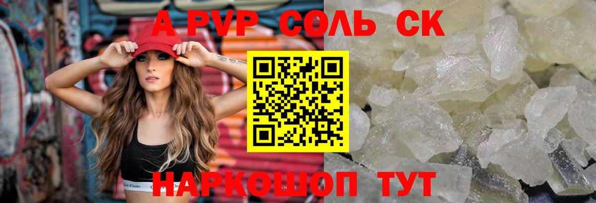 Камышлов  APVP Соль  Вход с VPN 